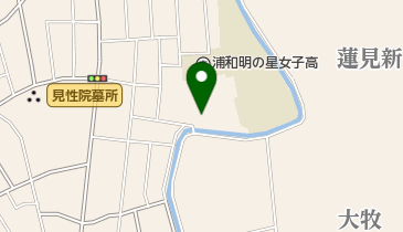 浦和明の星幼稚園の地図画像