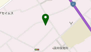 森緑の詩こども園緑の詩保育園の地図画像
