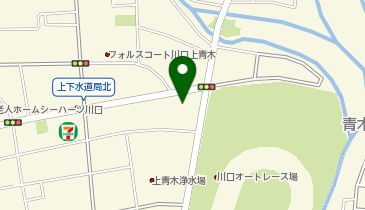 ドルフィン・キッズ保育園川口の地図画像