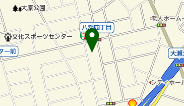 FOODS MARKET Selection八潮店の地図画像