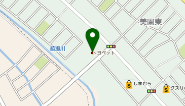 埼玉トヨペット浦和美園支店の地図画像