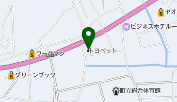 埼玉トヨペット寄居支店の地図画像