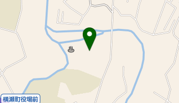 武甲オートキャンプ場の地図画像