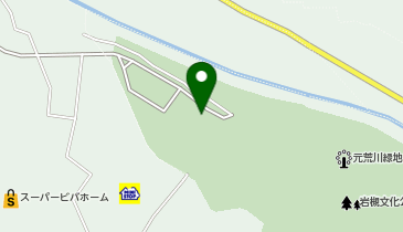 さいたま市岩槻文化公園陸上競技場の地図画像