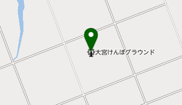 大宮けんぽグラウンドの地図画像