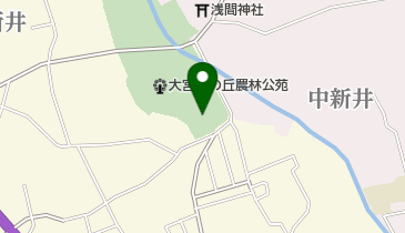 大宮花の丘の地図画像