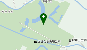 さきたま火祭りの地図画像