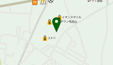 バーガーキングイオンタウン毛呂山店の地図画像