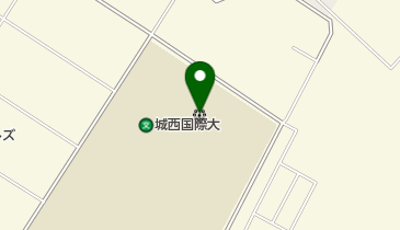 城西国際大学水田記念図書館の地図画像