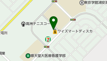 ワイズマートディスカ高洲店の地図画像