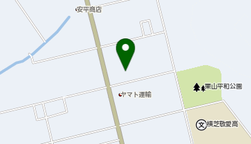 ディスカウントドラッグコスモス横芝店の地図画像