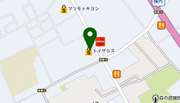 メガスポーツ野田店の地図画像