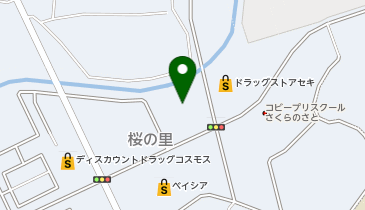 WonderREX野田桜の里店の地図画像