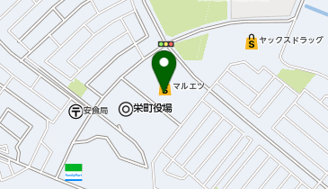 ダイソーマルエツ安食店の地図画像