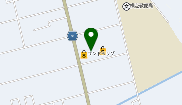 ワッツ横芝店の地図画像