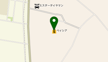 Seriaベイシア成田芝山店の地図画像