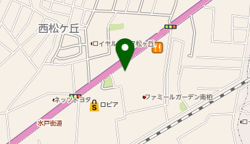 ネッツトヨタ千葉南柏店の地図画像