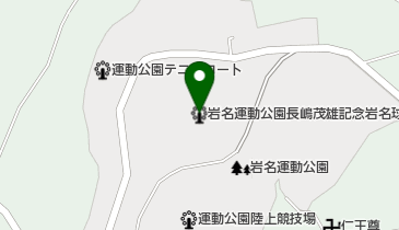岩名運動公園長嶋茂雄記念岩名球場の地図画像