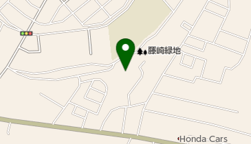 藤崎緑地の地図画像