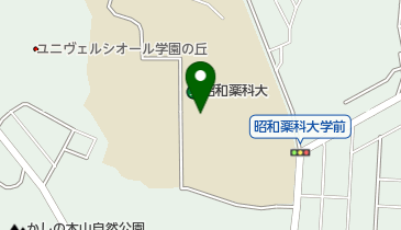 昭和薬科大学図書館の地図画像