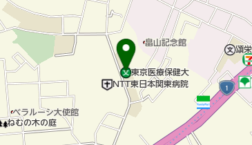 私立東京医療保健大学五反田キャンパスの地図画像
