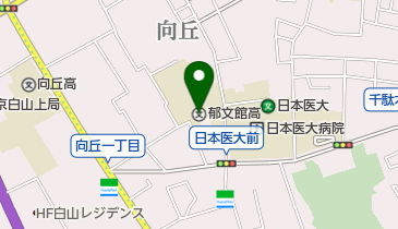 郁文館高校の地図画像