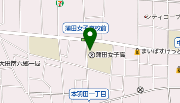 私立羽田国際高校の地図画像