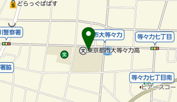東京都市大学等々力高校の地図画像