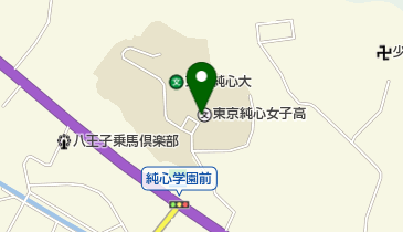 私立東京純心女子高校の地図画像