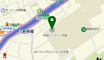 私立昭和女子大学附属昭和中学校の地図画像