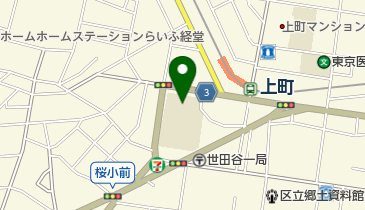 世田谷区立桜小学校の地図画像