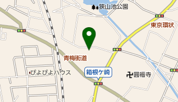 如意輪幼稚園の地図画像