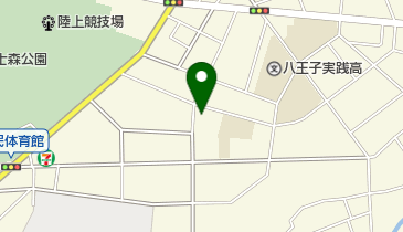 八王子実践幼稚園の地図画像