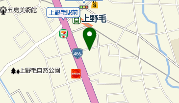 ピノキオ幼児舎上野毛園の地図画像