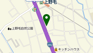 グリーンフィールド上野毛保育園の地図画像