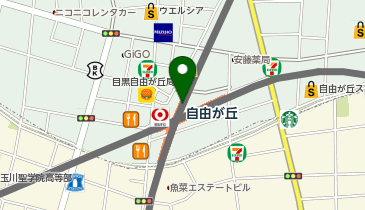 東急ストアフードステーションミニ自由が丘駅構内店の地図画像