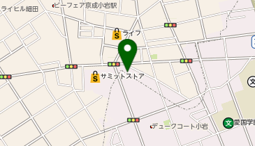 どらっぐぱぱす西小岩店の地図画像