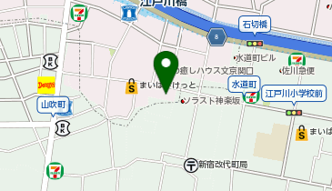 どらっぐぱぱす新江戸川橋店の地図画像