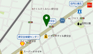 ヴィクトリアゴルフイオンスタイル碑文谷店の地図画像