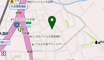 マルヤス大森町店の地図画像