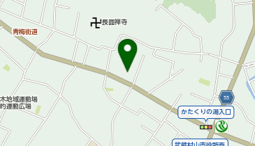 ダイソー武蔵村山本町店の地図画像