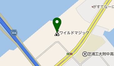 ワイルドマジックの地図画像