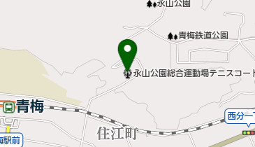 TCNスポーツパーク永山テニスコートの地図画像