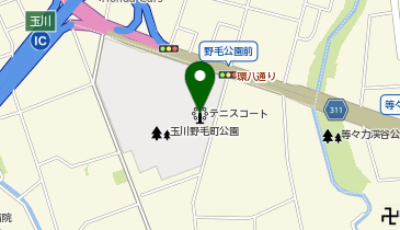 玉川野毛町公園テニスコートの地図画像