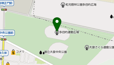 大泉中央公園多目的運動広場の地図画像
