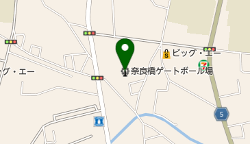 奈良橋ゲートボール場の地図画像