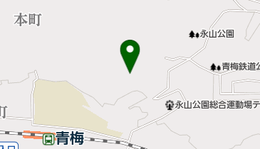 TCNスポーツパーク永山軟式野球場の地図画像