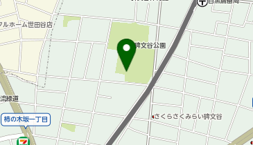 碑文谷池の地図画像