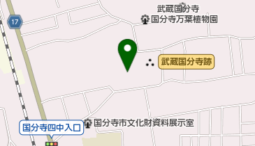 国分寺緑地の地図画像