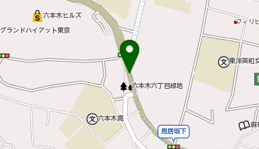 路上駐車場の地図画像